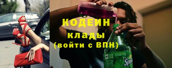 прущие грибы Покачи
