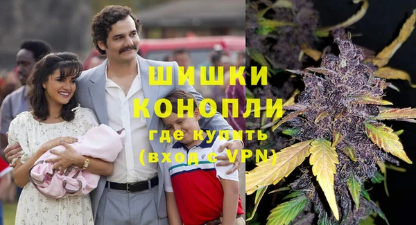 прущие грибы Покачи