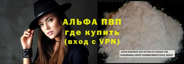 прущие грибы Покачи