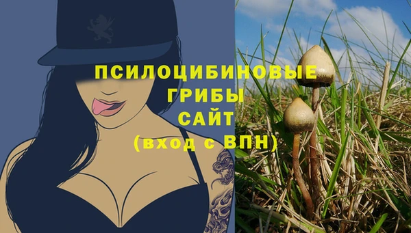 ГАЛЛЮЦИНОГЕННЫЕ ГРИБЫ Покровск