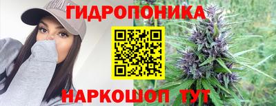 jwh Дубна