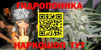 jwh Дубна