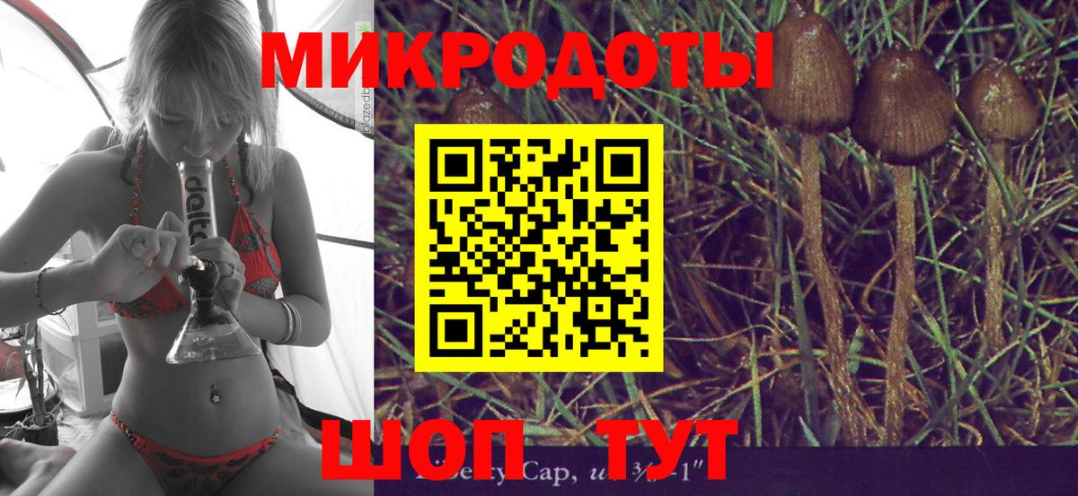 закладки  Псилоцибиновые грибы мухоморы  Курчатов  Вход с VPN  Псилоцибиновые грибы Magic Shrooms 