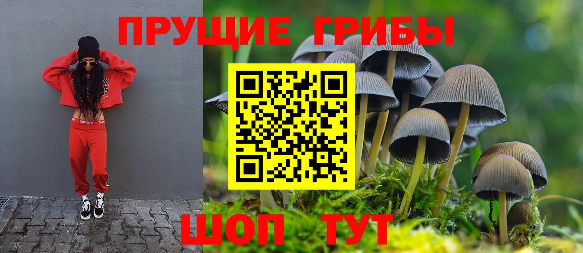 Псилоцибиновые грибы мухоморы Курчатов
