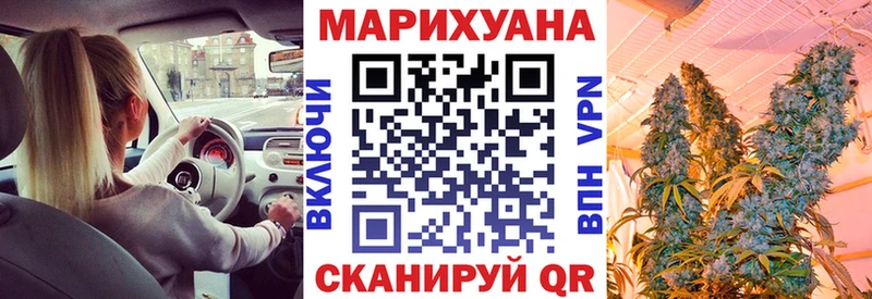 дарнет шоп  hydra зеркало  Марихуана планчик  Курчатов 